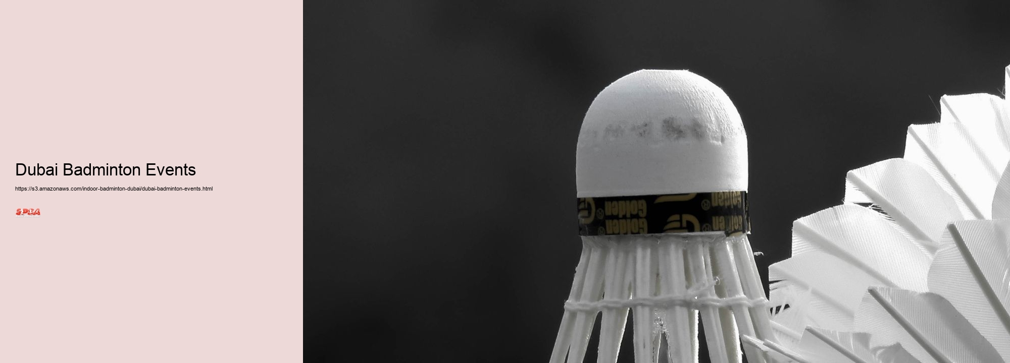 Dubai Badminton Events