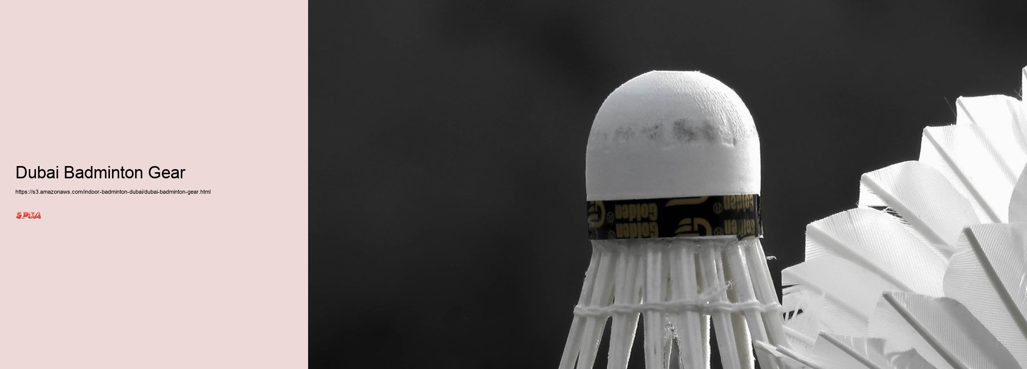 Dubai Badminton Gear