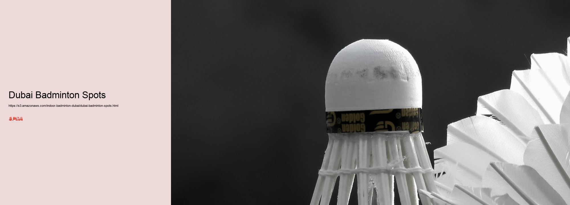 Dubai Badminton Spots