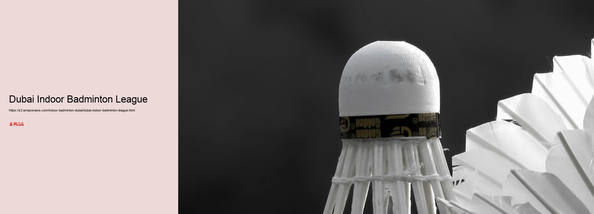 Dubai Indoor Badminton League