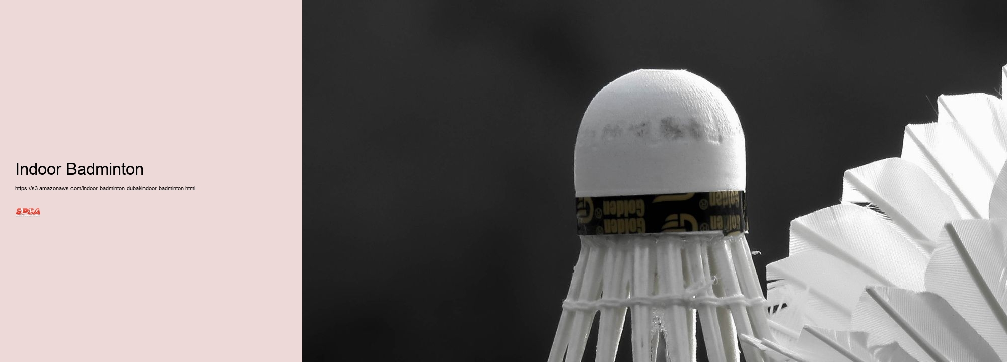 Indoor Badminton