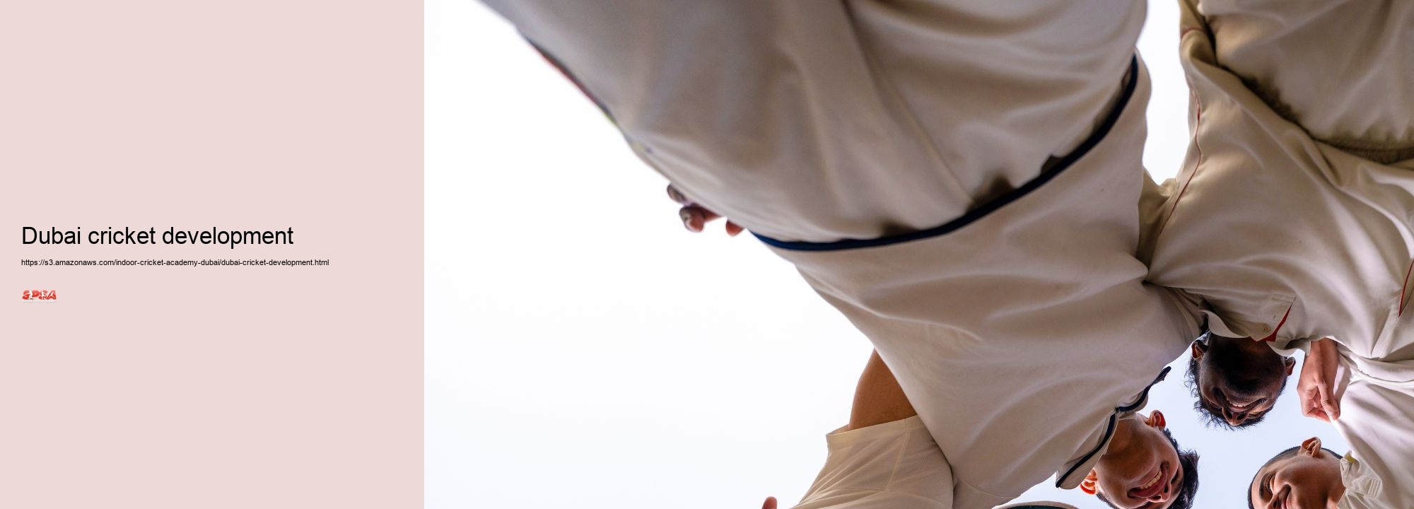 Dubai cricket development