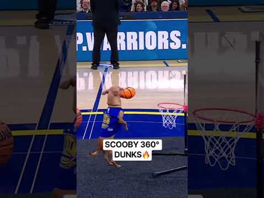 2025-26 SCOOBY 360° DUNKS HIGHLIGHT TAPE 🚨
