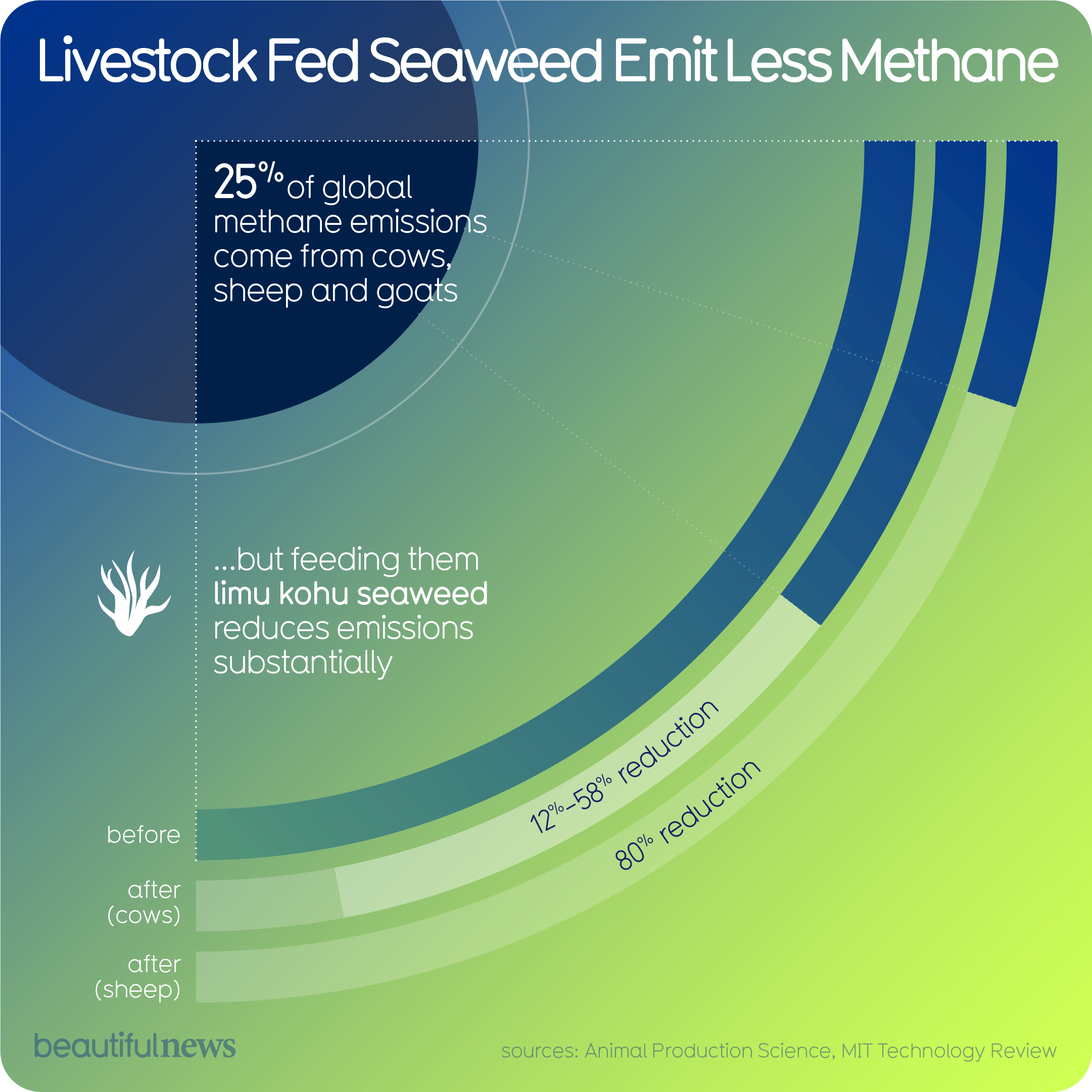 Livestock Fed Seaweed Emit Less Methane — Beautiful News