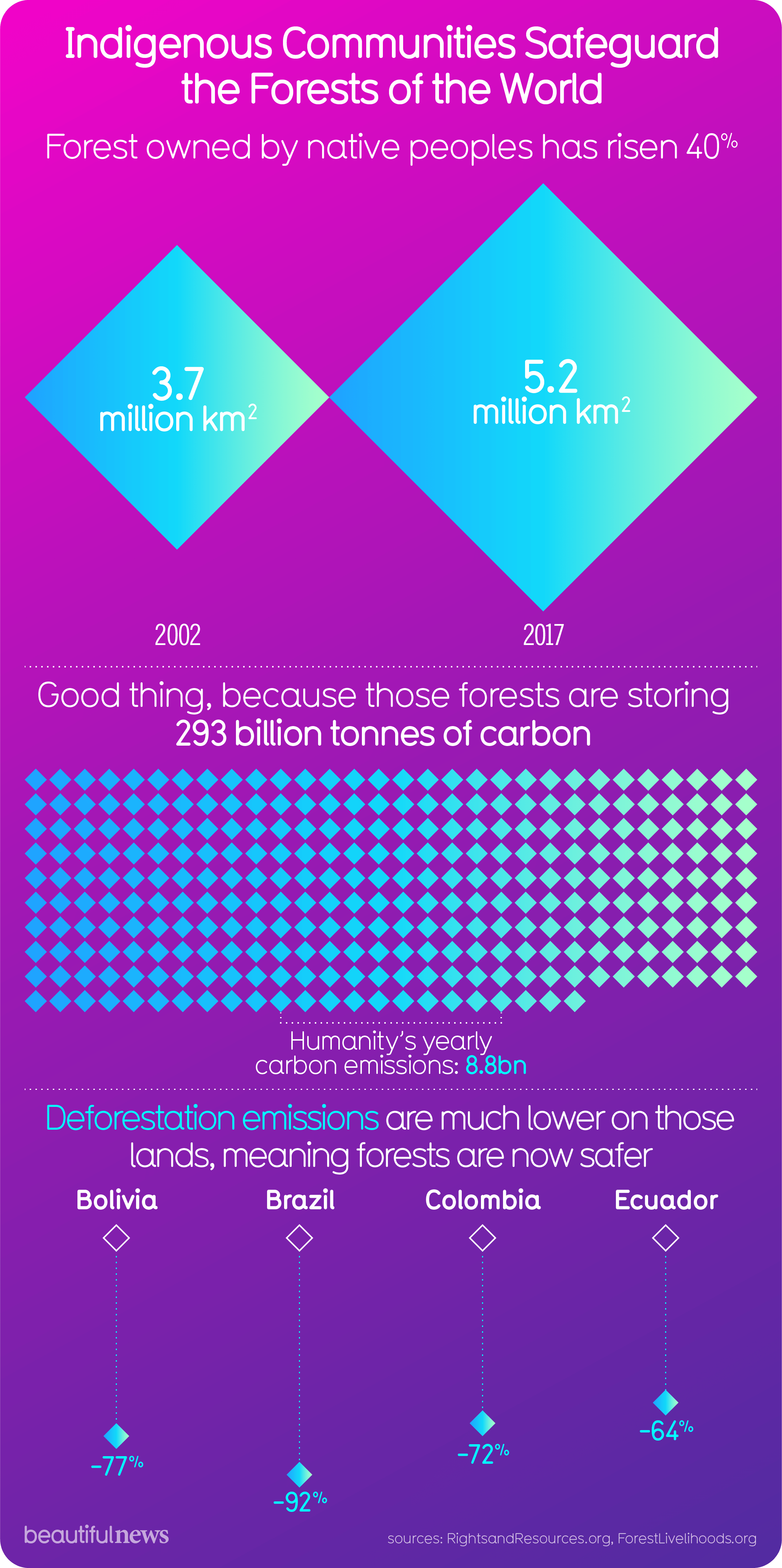 Indigenous Communities Are Safeguarding the World's Forests — Beautiful ...