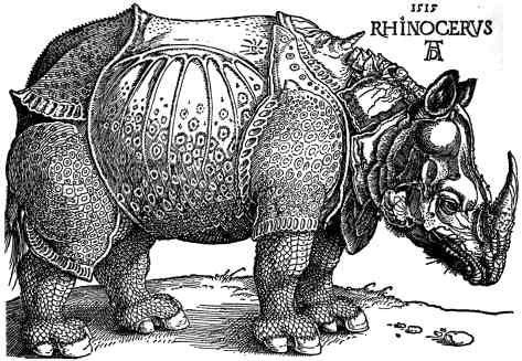 <p>Rhinoceros <a href="https://wordpress.viu.ca/compassrose/closed-on-account-of-transformation-two-faced-humanity-in-ionescos-rhinoceros/">via</a></p>