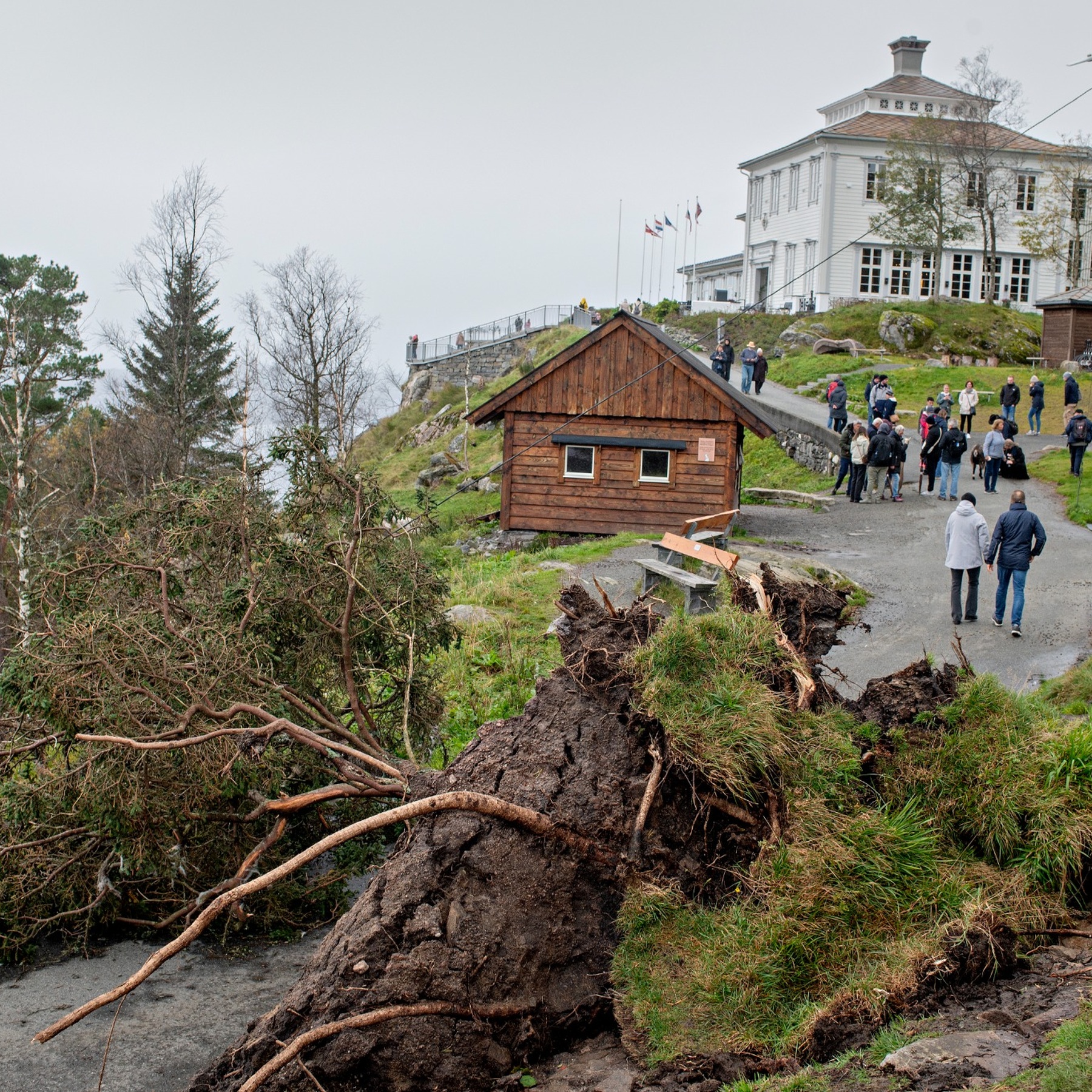 The Newsroom Superpower: Building a Breaking News Machine