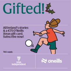 Irish Independent: Turning Sports Passion into Subscriber Growth