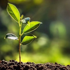 Pratica ESG (ESG  Practices), a new
