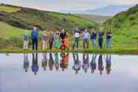 The Irish Times and Ireland’s Greenest Places: Balancing Purpose and Commercial Partnership