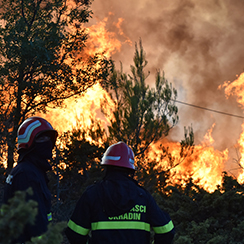 Wildfire: Ground Zero Journalism