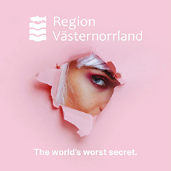 Region Västernorrland: The World's Worst Secret