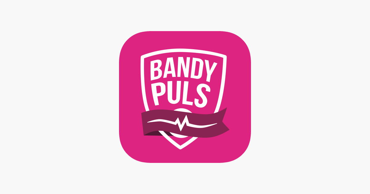 Bandypuls – a unique niche digital product