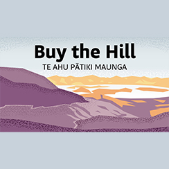 Buy the Hill - Te Ahu Patiki