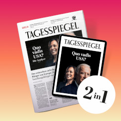 The Reinvention of Tagesspiegel