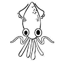 Squid