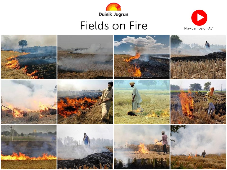 Fields on Fire