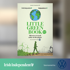 The Little Green Book