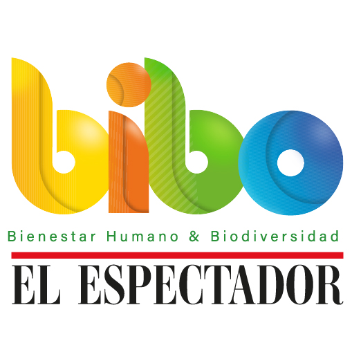 BIBO EL ESPECTADOR