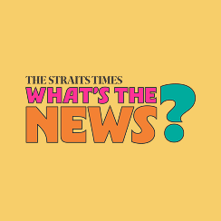 The Straits Times' What’s The News? competition