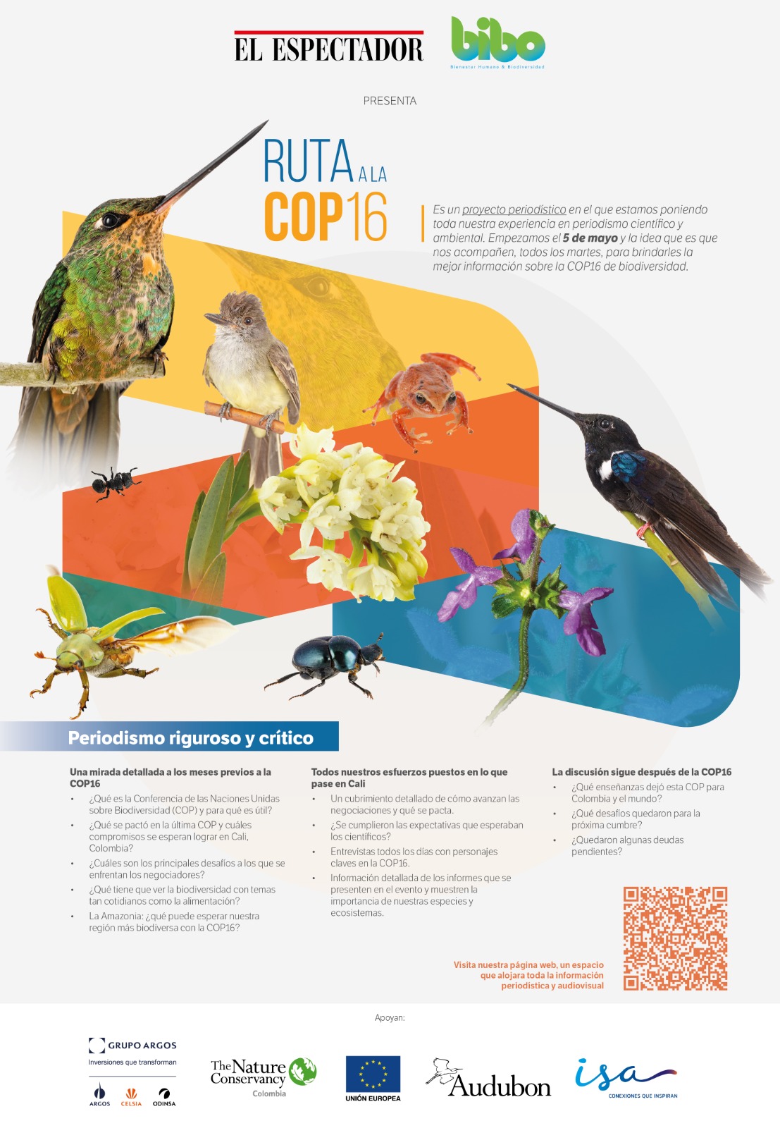 RUTA A LA COP 16 - THE ROAD TO COP16