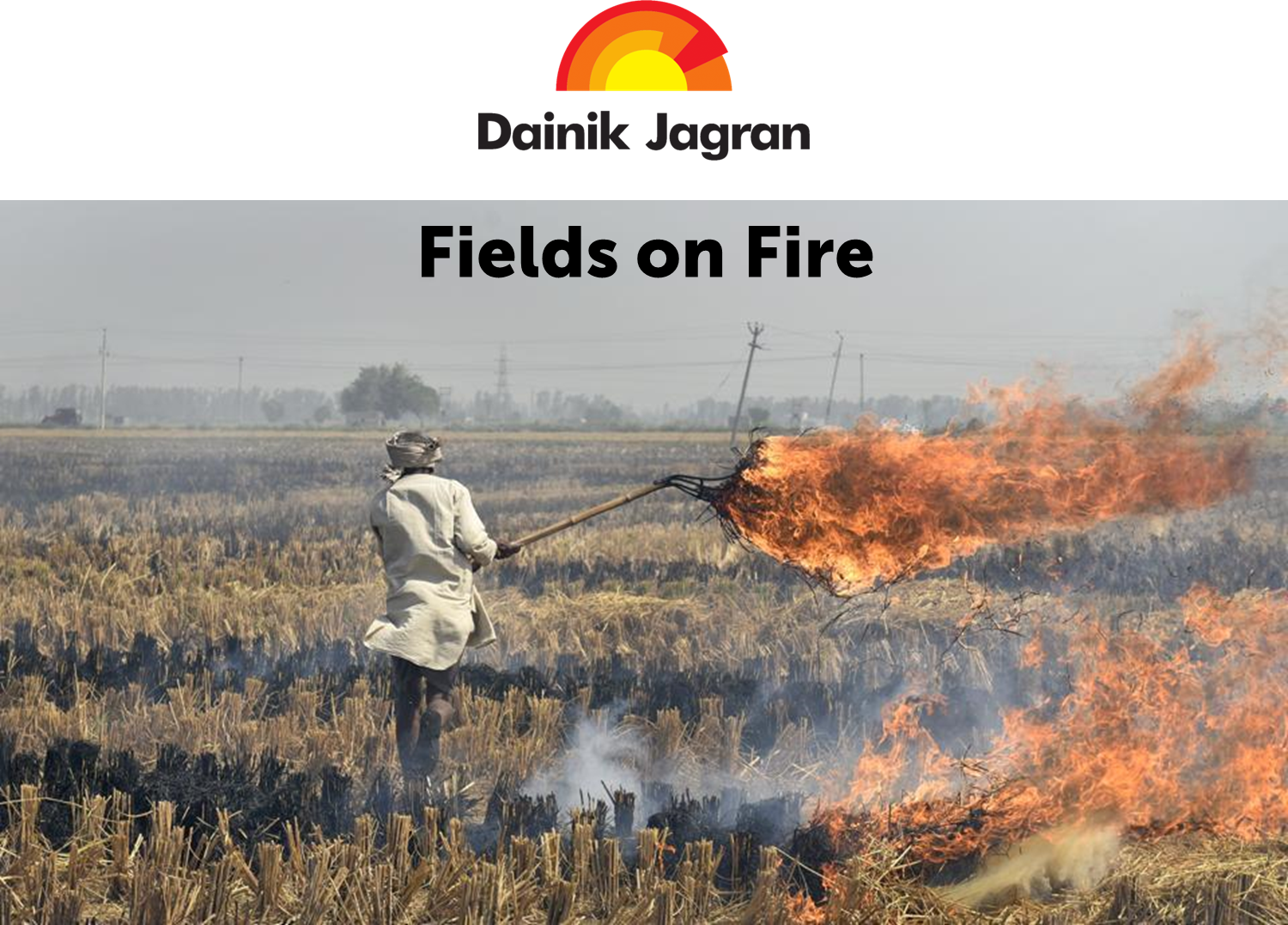 Fields on Fire