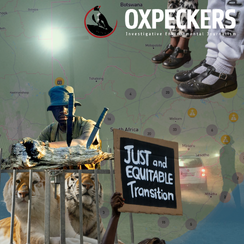 The Oxpeckers Geojournalism Initiative: Powering Investigative Transparency in Resource Transition and Global Environmental Crime