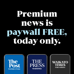 Free Day