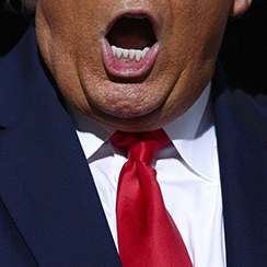 Trump's Wildest Claims
