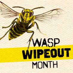 Wasp Wipeout 2019