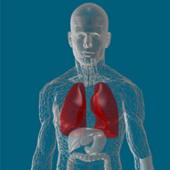 The anatomy of cancer