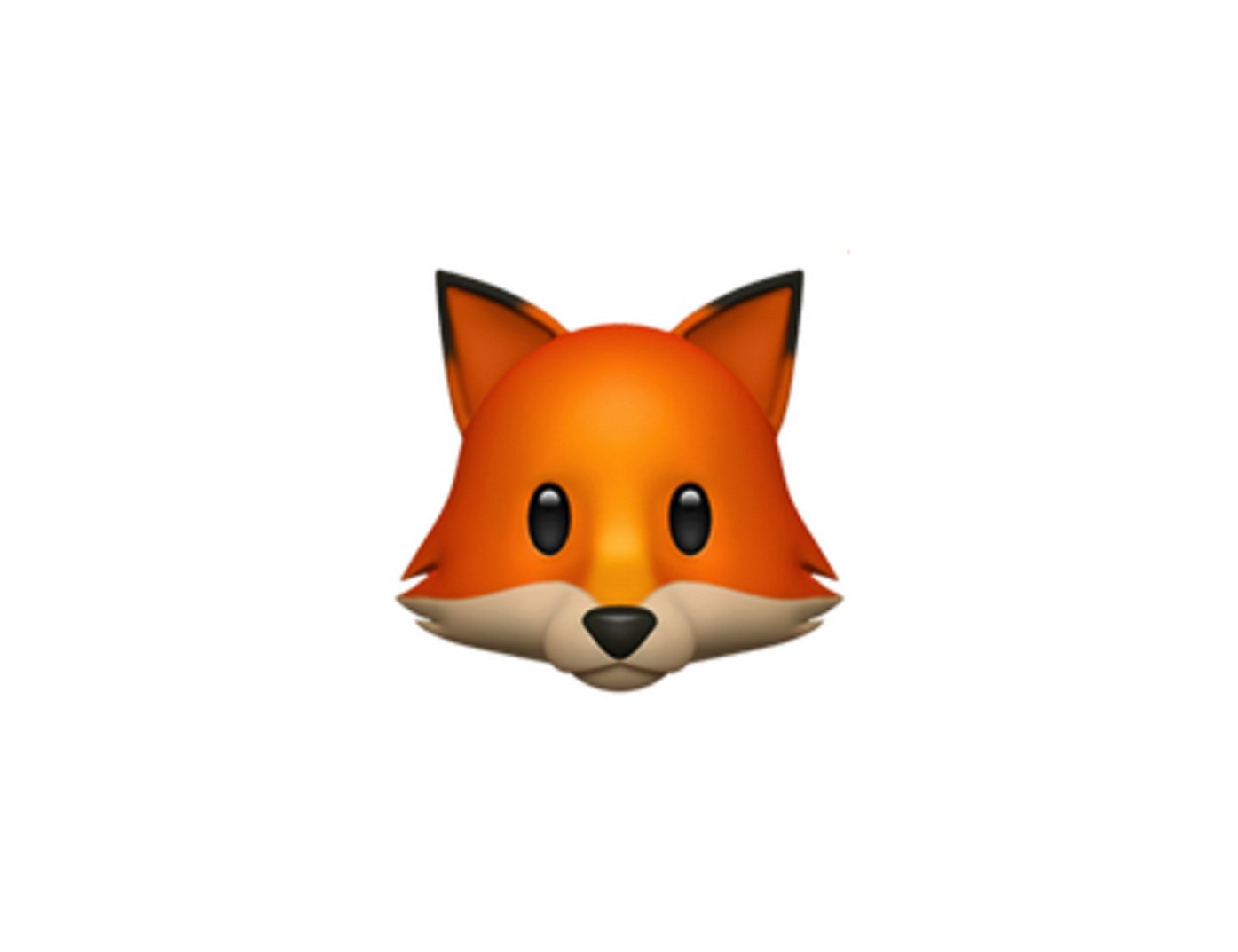Personalised Content on Blick-Homepage (Project Fox)