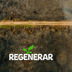 Sustainable Attitude/Regenerate (Atitude Sustentável/Regenerar)