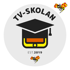 The TV school