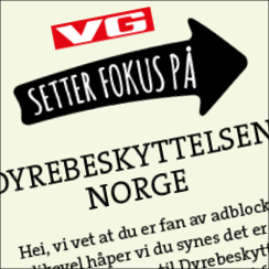 From Adblock users to VG Lovers (Engagement)