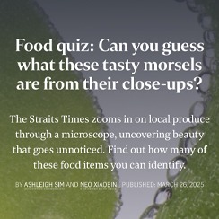 Food quiz: Can you guess what these tasty morsels are from their close-ups?