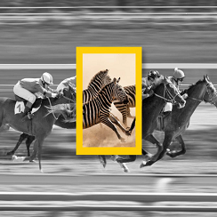 The Irish Times' Subscription Partnership with National Geographic