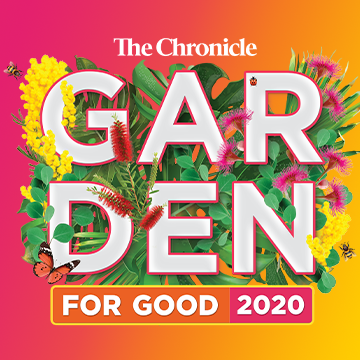 Toowoomba: Chronicle Garden for Good