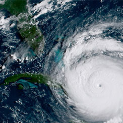 Watching Hurricane Irma emergency newsletter