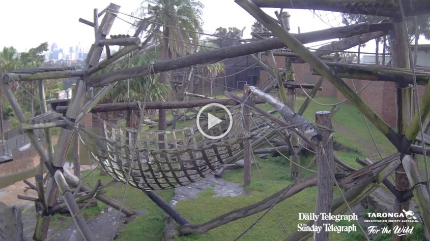 The Daily Telegraph - Taronga Zoo Initiatives