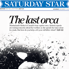 The Toronto Star Design Refresh