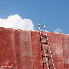 NZZ Dynamic Paywall and Access Strategy Evolution