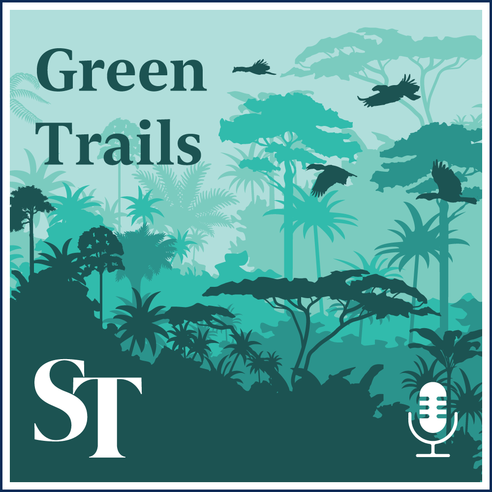 Green Trail Series