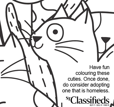 The Colourful Cat Advertisement