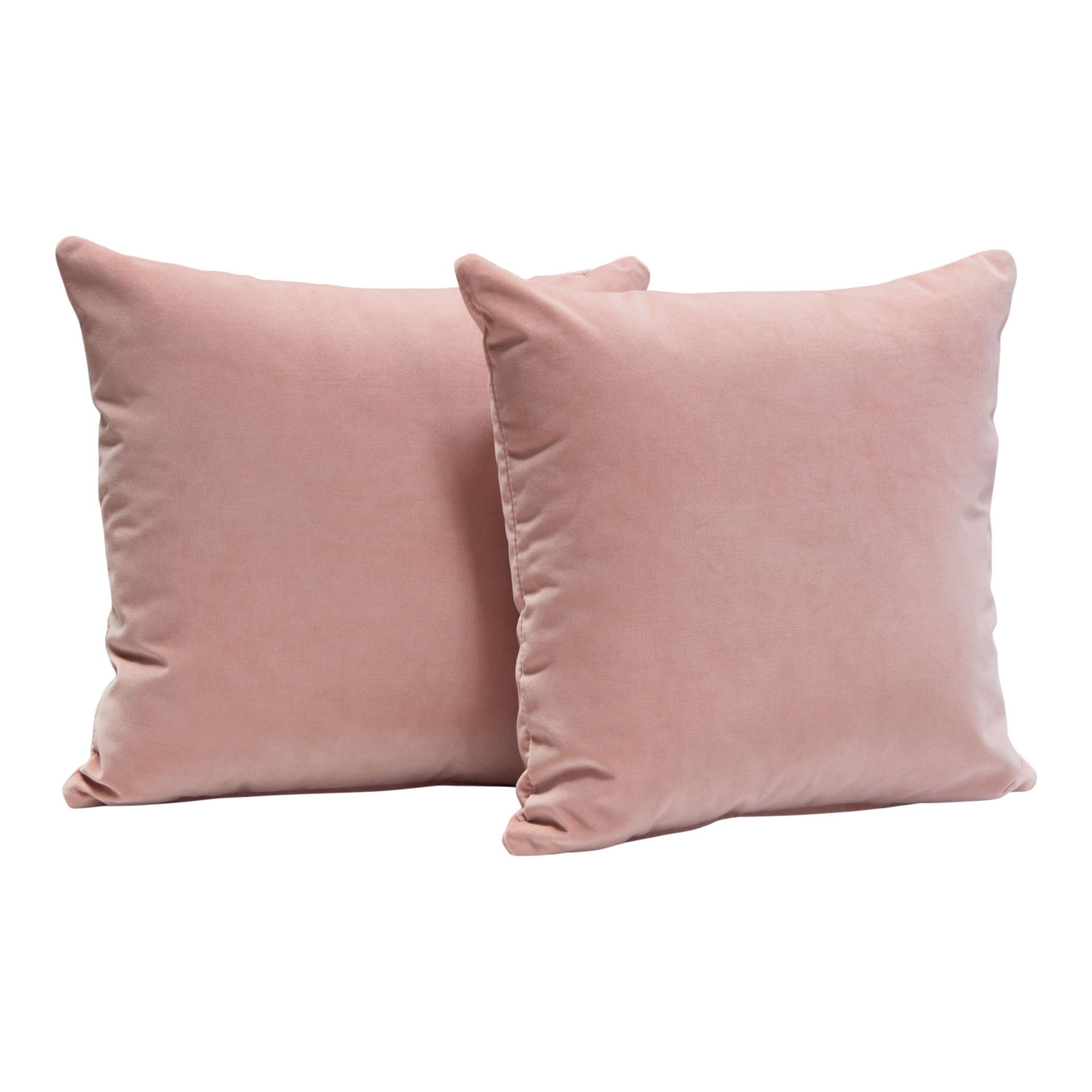 Square Accent Pillow (Set of 2)