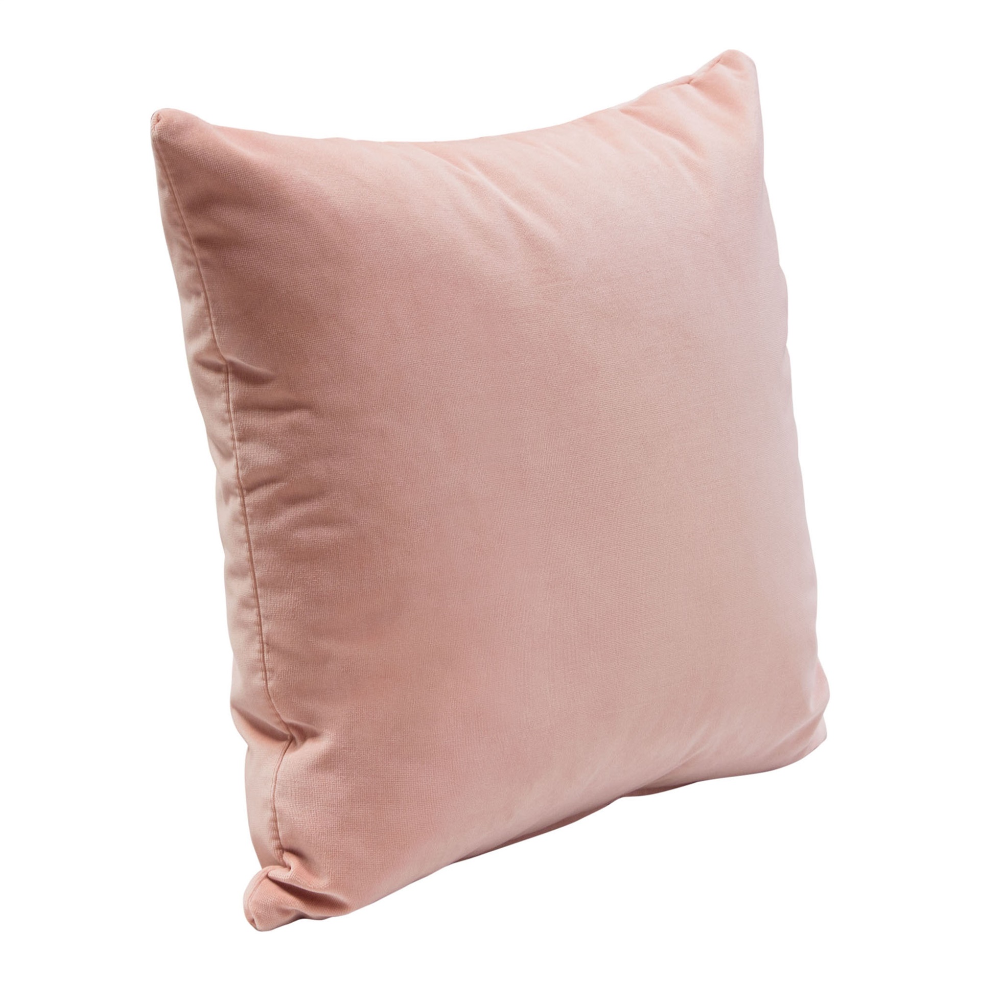Square Accent Pillow (Set of 2)
