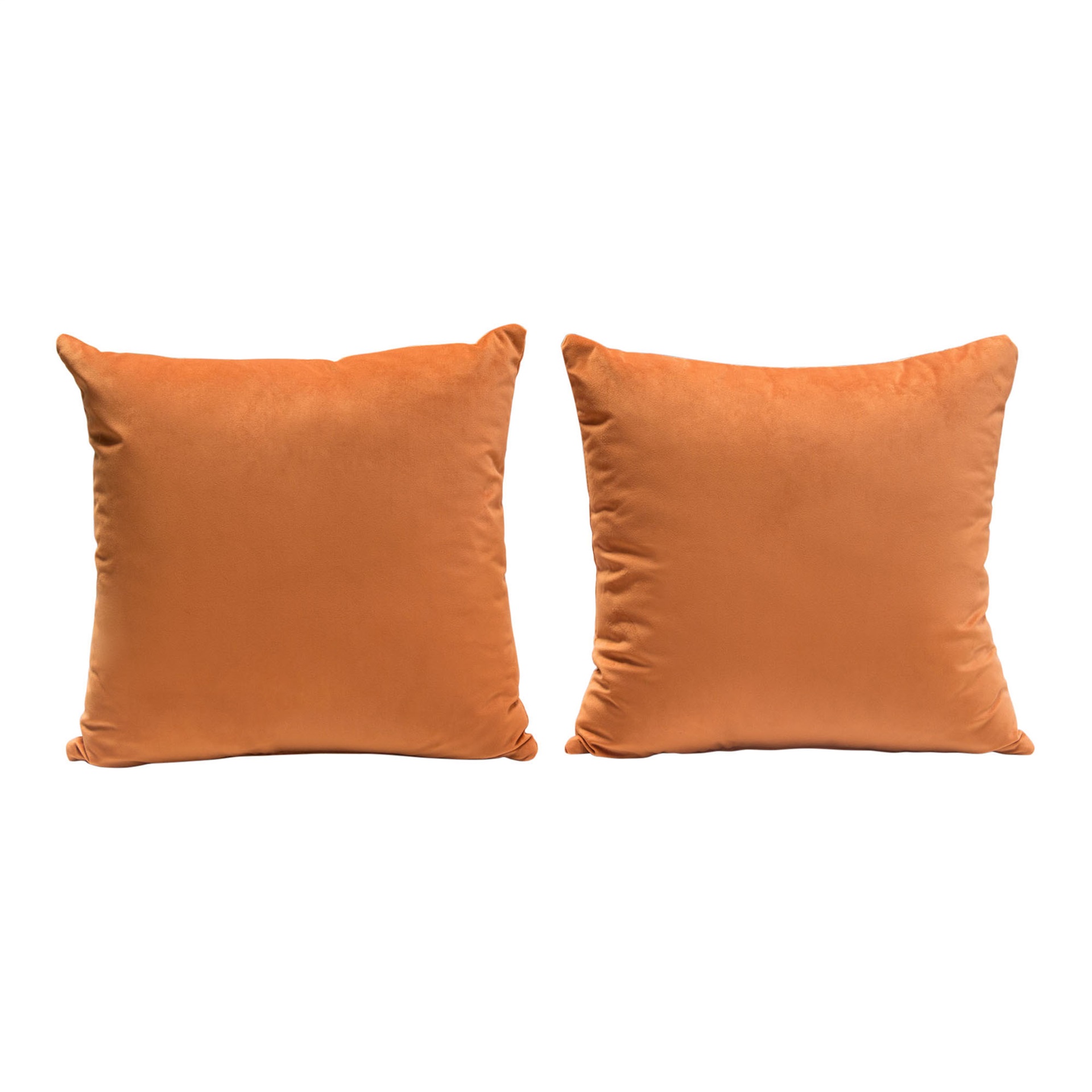 Square Accent Pillow (Set of 2)