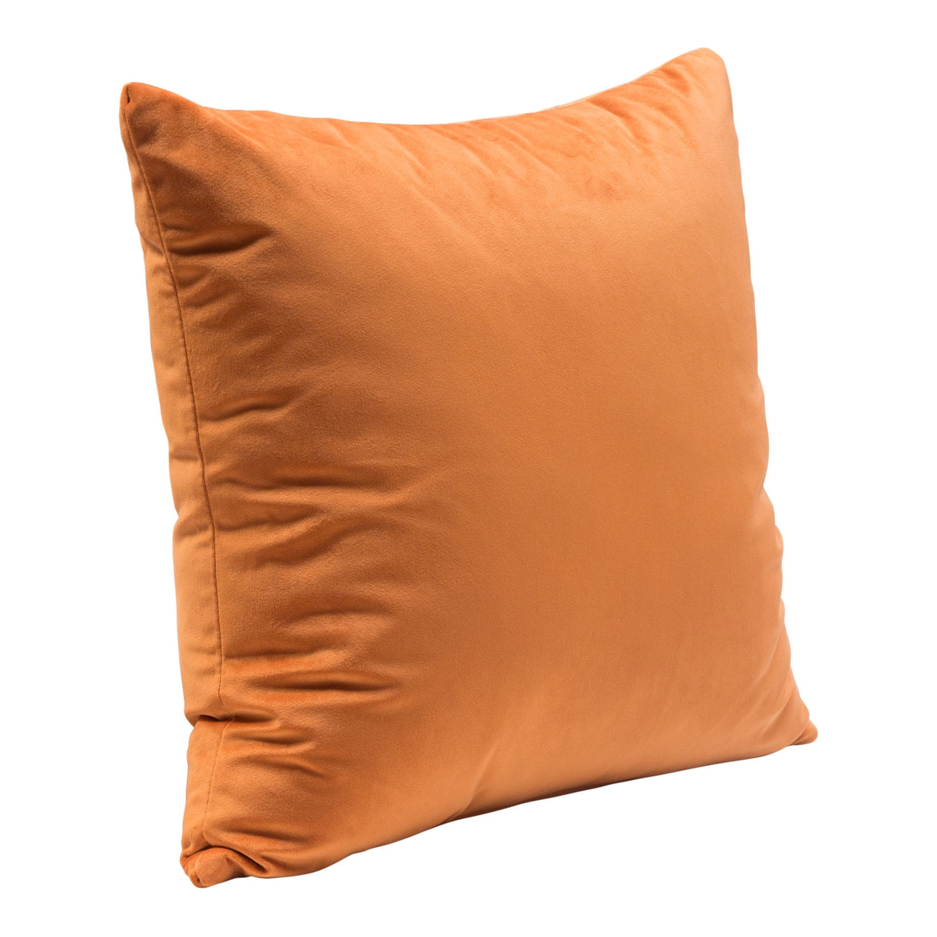 Square Accent Pillow (Set of 2)