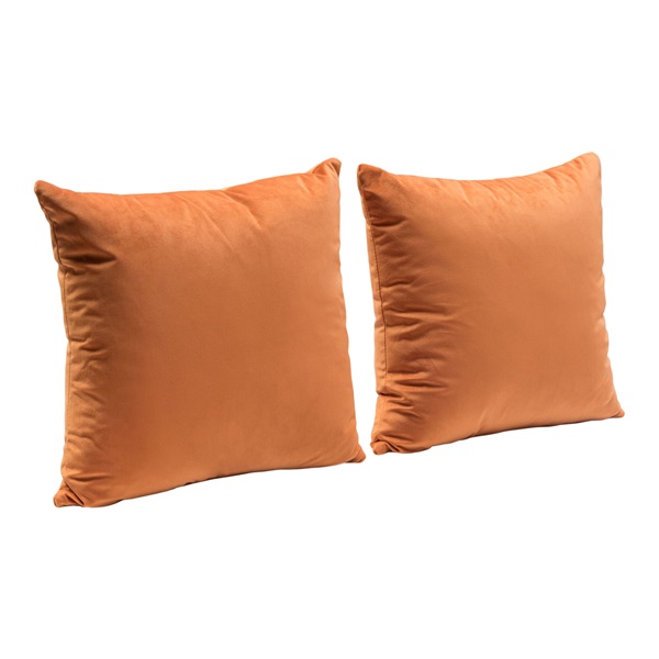 Square Accent Pillow (Set of 2)