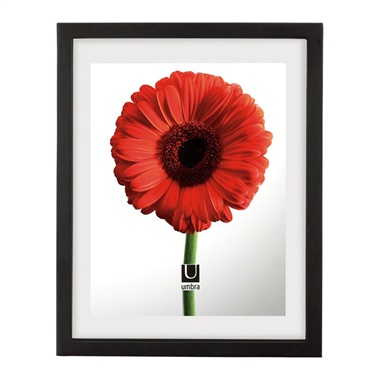 Document Wall Frame